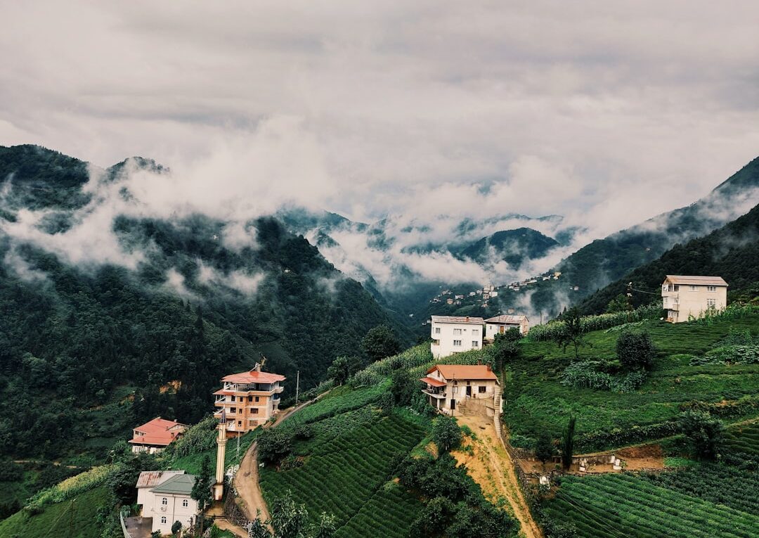 Trabzon nasıl bir yer