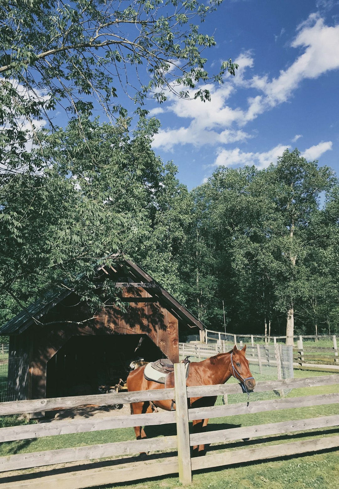 Alabama Childersburg nasıl bir yer