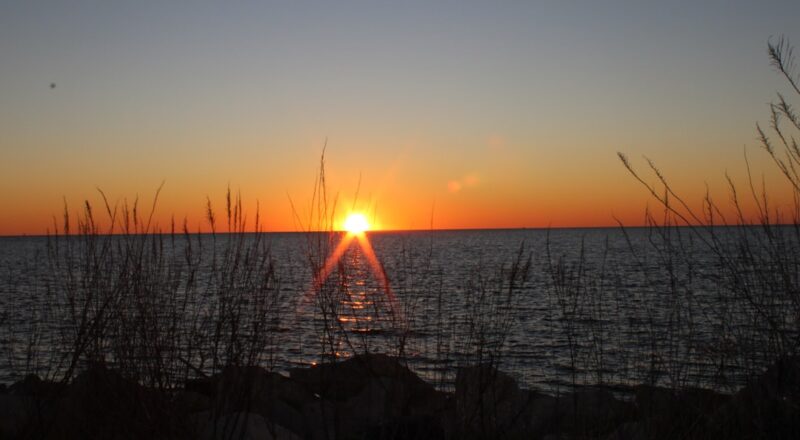 Alabama Dauphin Island nasıl bir yer