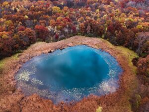 Alabama Holly Pond nasıl bir yer