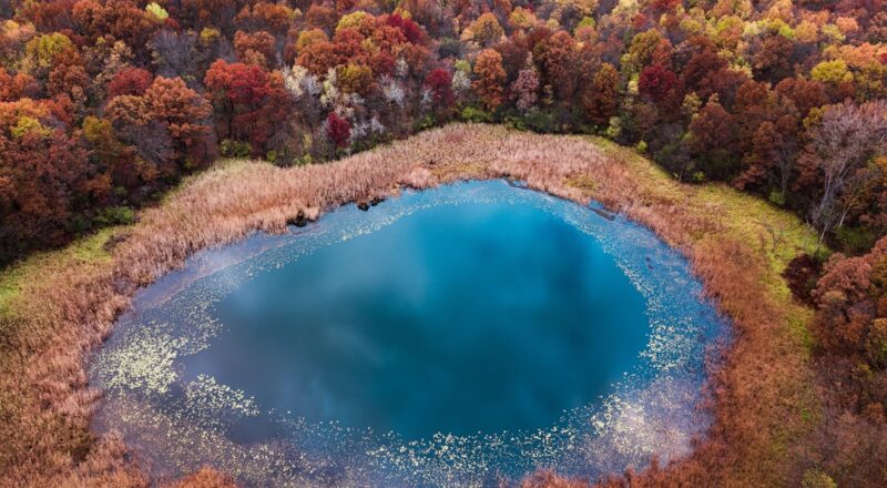 Alabama Holly Pond nasıl bir yer