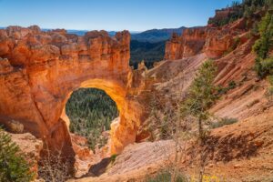 Alabama Natural Bridge nasıl bir yer