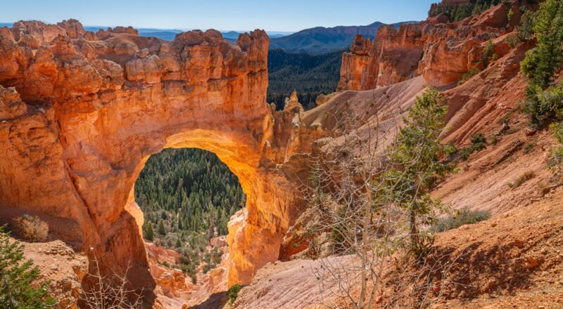 Alabama Natural Bridge nasıl bir yer