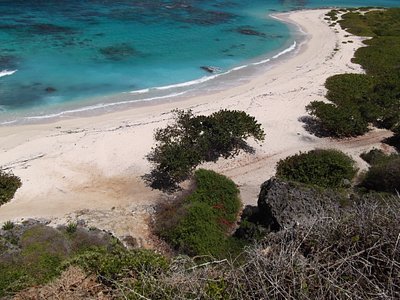 Antigua ve Barbuda Codrington nasıl bir yer?