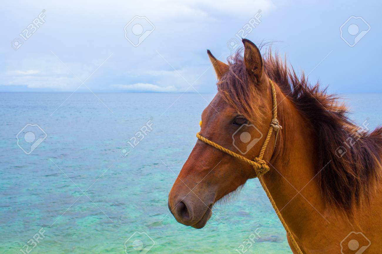 Antigua ve Barbuda Seaview Farm nasıl bir yer?