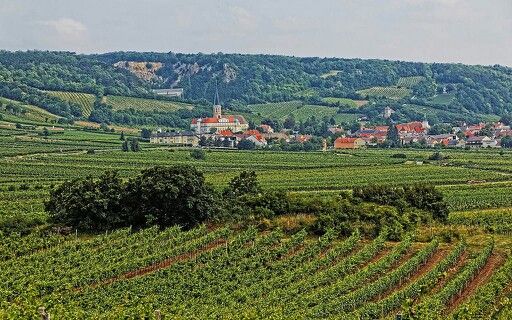 Aşağı Avusturya Traiskirchen nasıl bir yer?