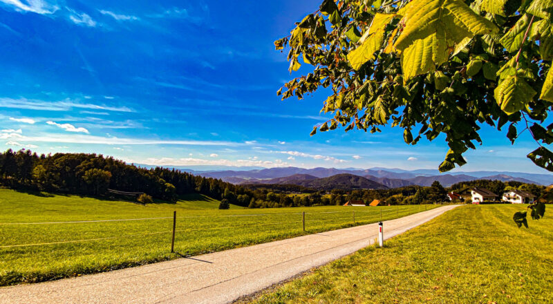 Steiermark Gratkorn nasıl bir yer?