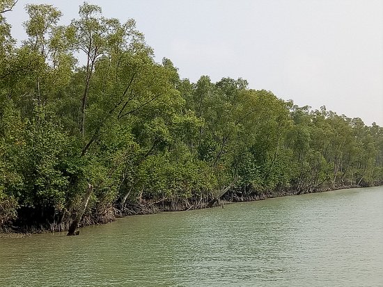 Bangladeş Barguna nasıl bir yer