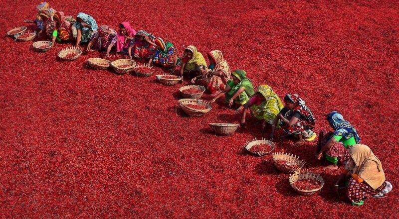 Bangladeş Gaibandha nasıl bir yer