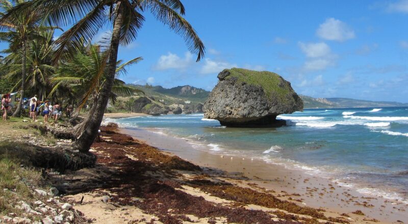 Barbados Bathsheba nasıl bir yer