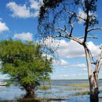 Belize Crooked Tree Nasıl bir yer