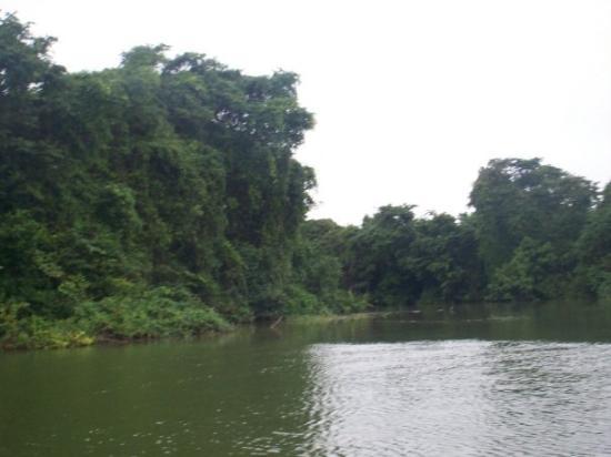 Belize Monkey River Nasıl bir yer