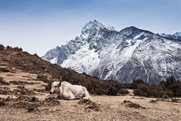 Bhutan Panka nasıl bir yer