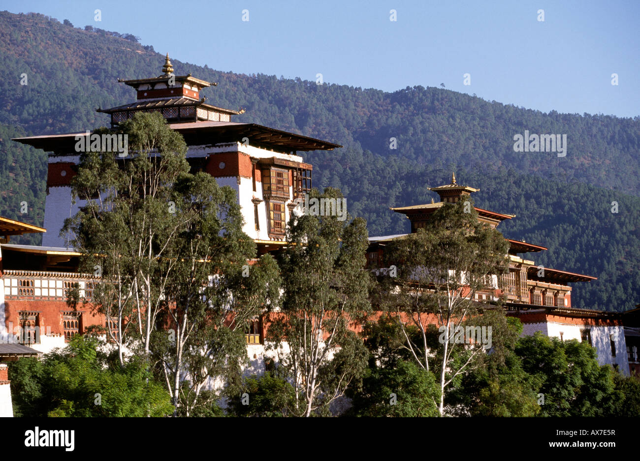 Bhutan Punakha nasıl bir yer