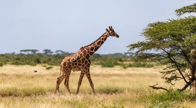 Burkina Faso Ziniaré Nasıl Bir Yer