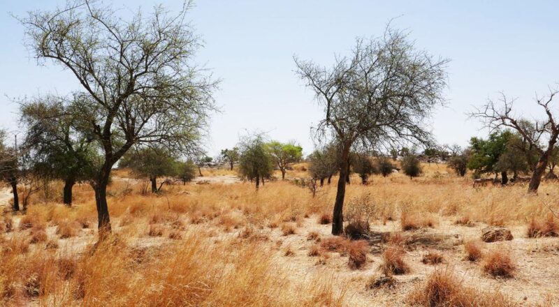 Burkina Faso Zorgho Nasıl Bir Yer