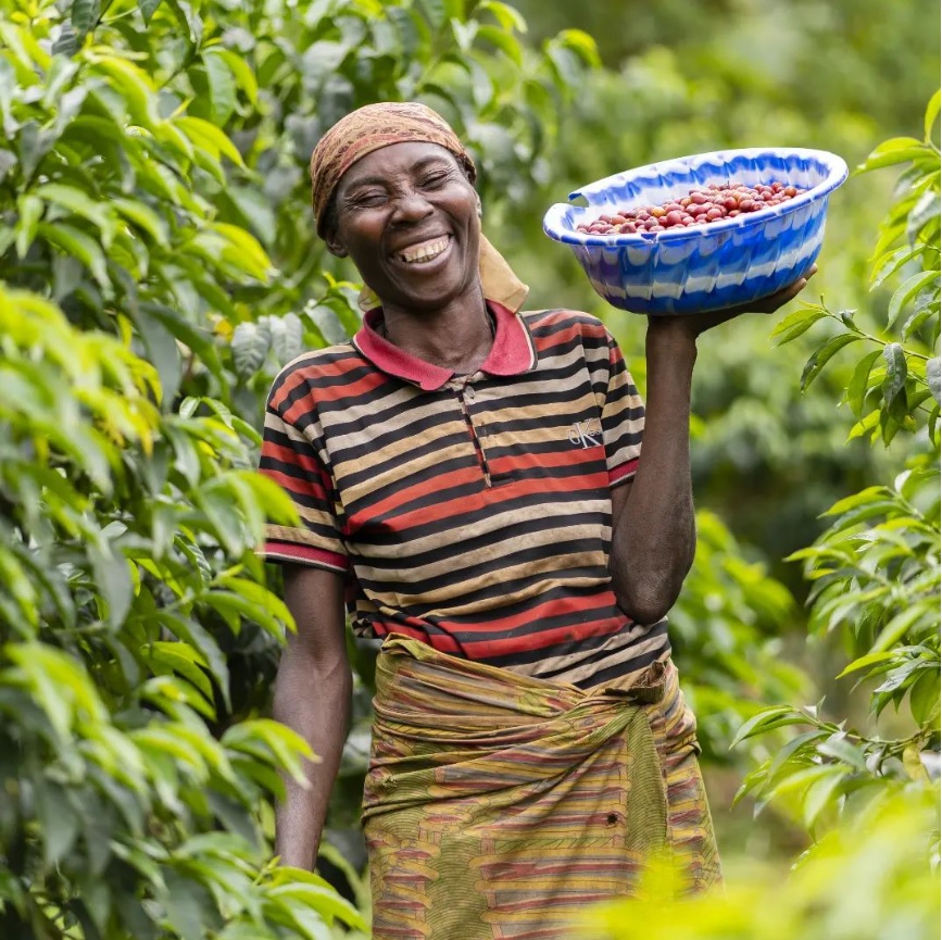 Burundi Kayanza Nasıl Bir Yer