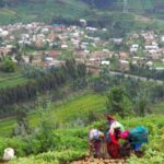 Burundi Kayanza Nasıl Bir Yer